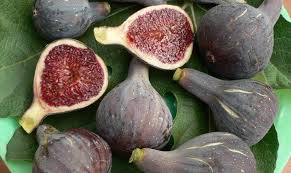 Albacor de Molla Blanca