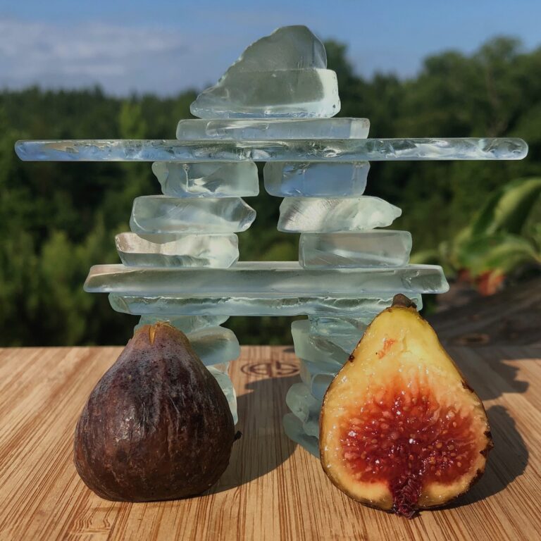 Savanac Noire (Thierry)