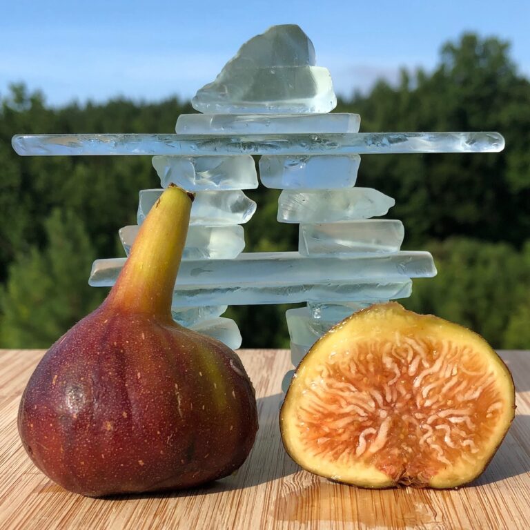 Grise Olivette (Thierry)