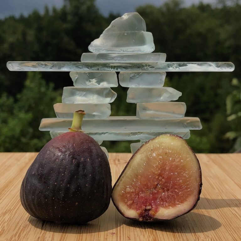 California Brown Turkey