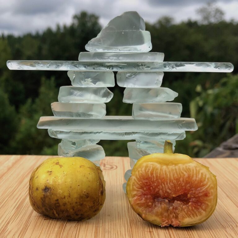 Campaniere (Thierry)