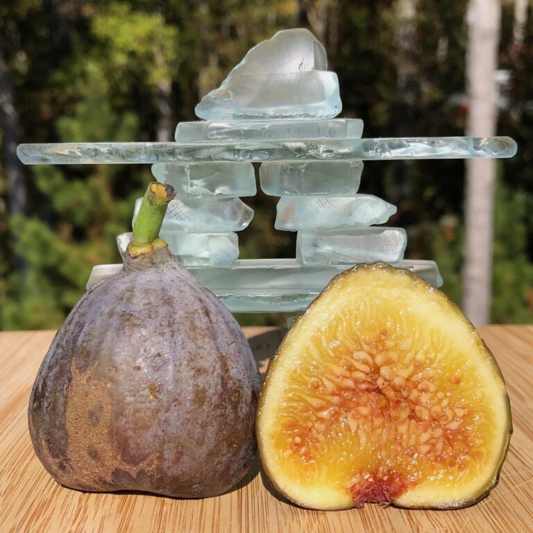 Gunner Unknown (TFH-347)