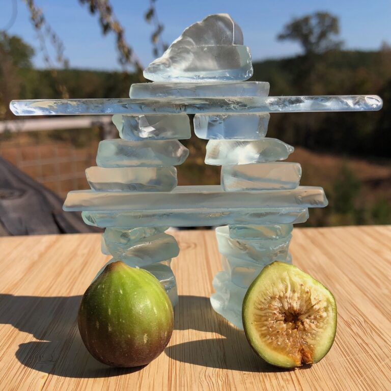 Aoibheann’s First (TFH-C0006)