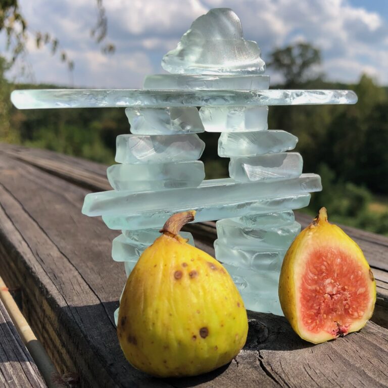 Tropical Goldenberry (SO)